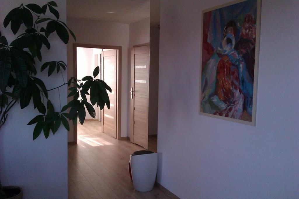 Peaceful Stay/Heart Of Gdansk/Unforgettable Exterior photo